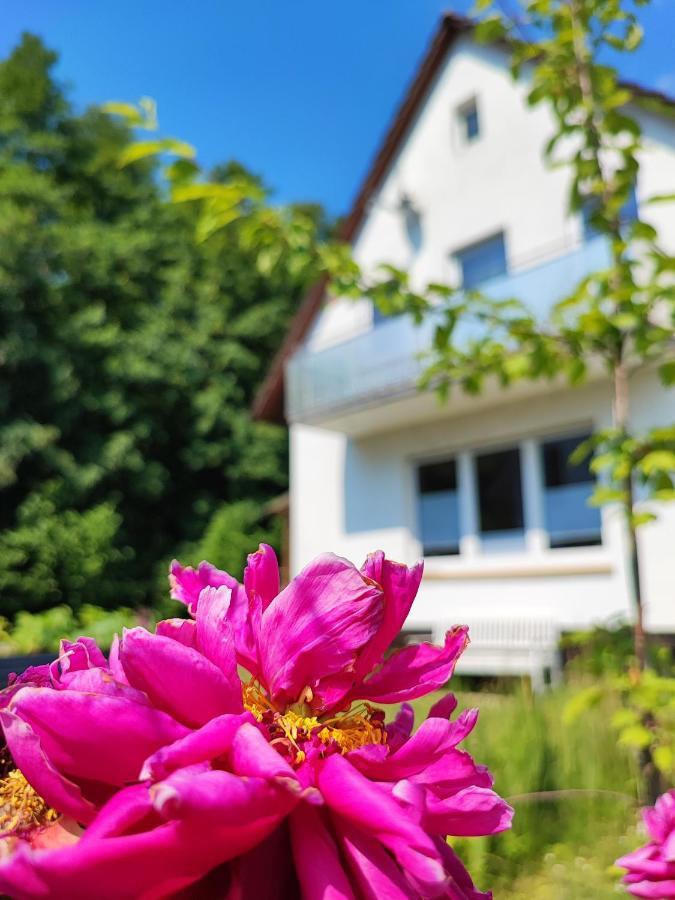 Muhrbach Villa Weier Bagian luar foto